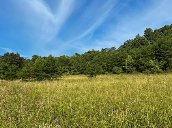 0 Little Forest Run Rd, Reedsville, OH 45772