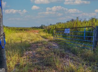 TRACT 1 Highway 36, Woodland, GA 31836