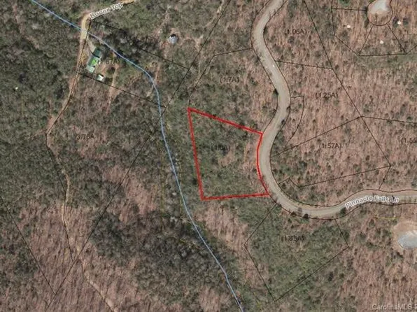 696 Pinnacle Falls Ln, Zirconia, NC 28790