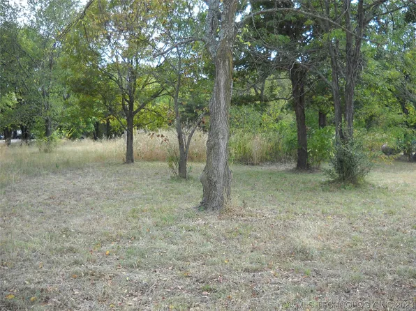 Meadow Ln, Langley, OK 74350