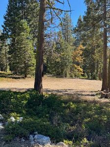 42144 Tourmaline Ln, Shaver Lake, CA, 93664