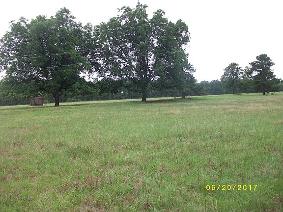 2 of many large pecan trees