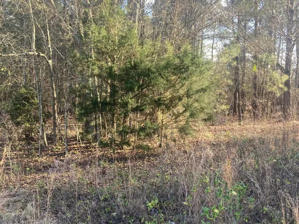 Tbd Camp Monroe Road, Laurel Hill, NC 28351