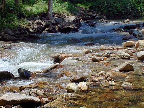 4th image of 5 Waterdance Dr
