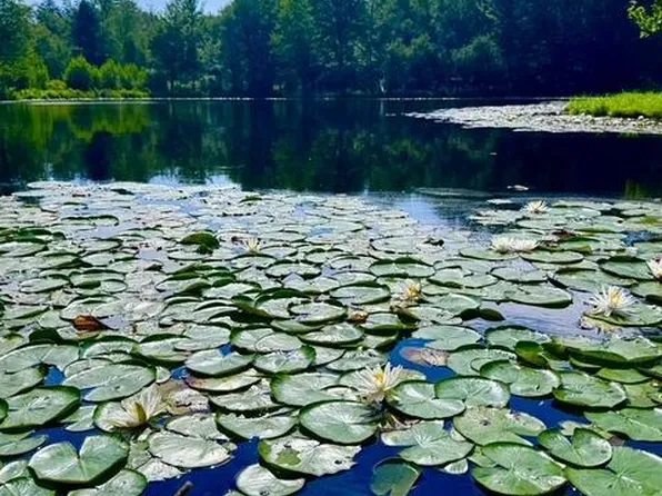 44 Purdytown Tpke, Lake Ariel, PA 18436