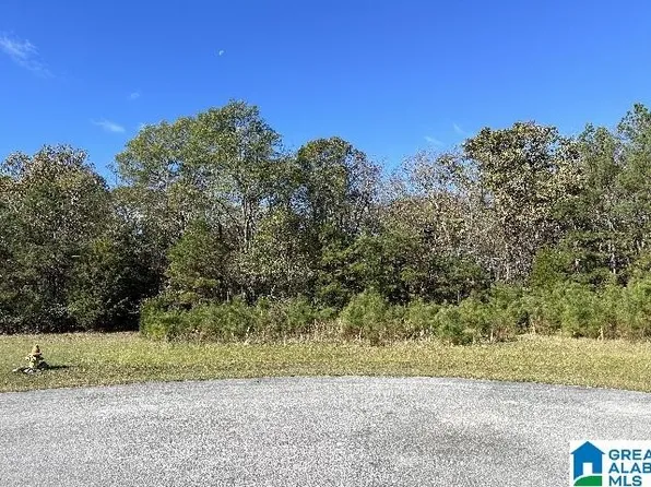 0 Eastland Hills Dr #89, Lincoln, AL 35096