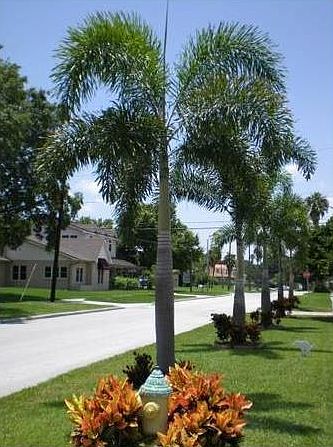 1st image of 8106 NW 74th Ter