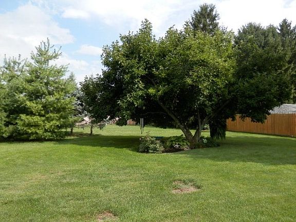 Nice big back yard