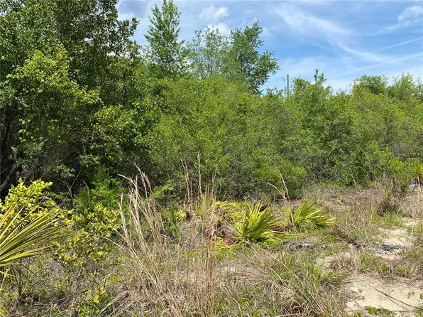 1 NE 73rd Ter #11, Citra, FL 32113