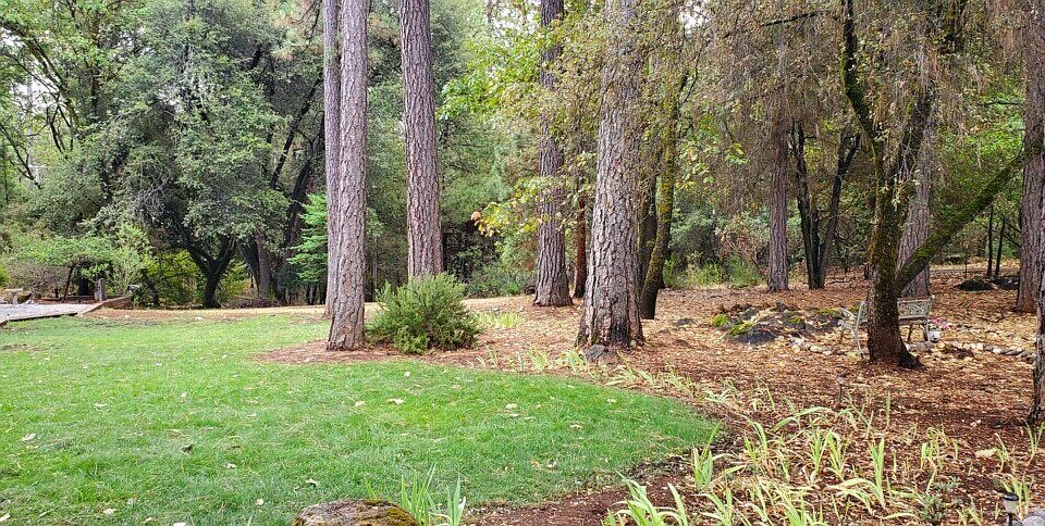2nd image of 15248 Chattering Pines Rd