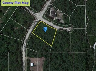 14 Mockingbird Ct LOT 14, Georgetown, FL 32139