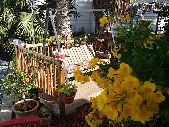 Back yard