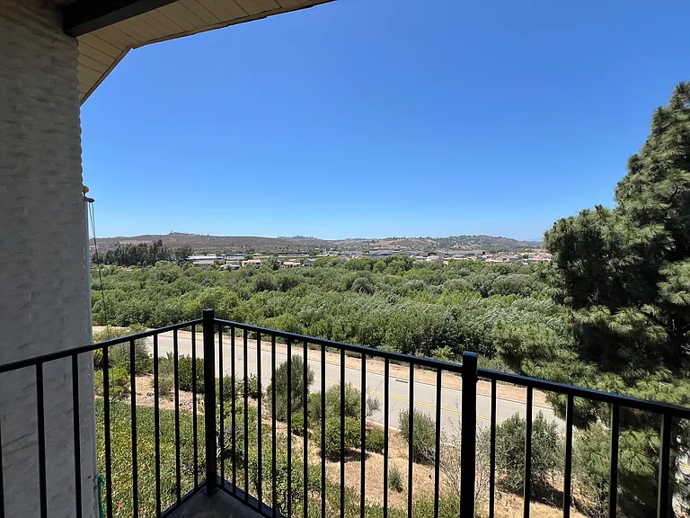 31362 Club Vista Ln — Photo 5