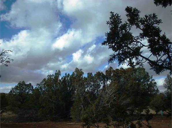 5545 N Wilshire Dr, Williams, AZ 86046