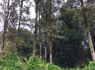 Leonaka Rd LOT 134, Mountain View, HI 96771