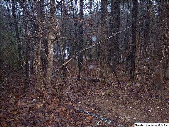 3rd image of 107 Hillandale Dr Lot 6