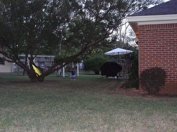 right rear side view of back