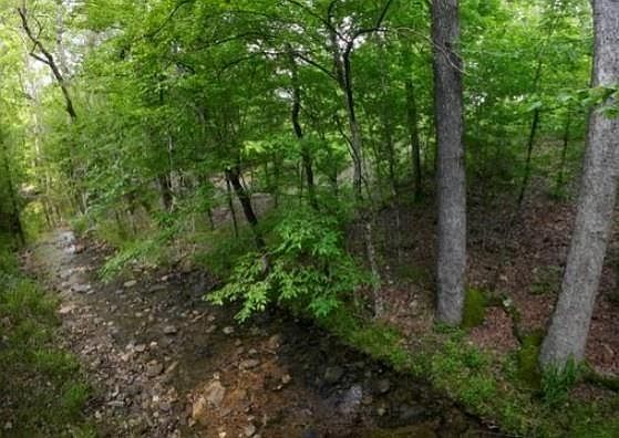 2nd image of 118 Hidden Pines Loop #11