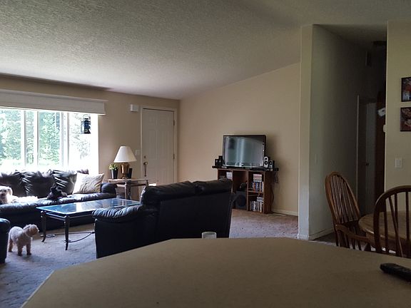 5th image of 172 Silver Birch Ct