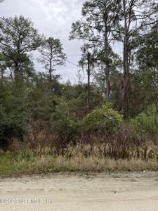208 Beach Dr, Florahome, FL, 32140