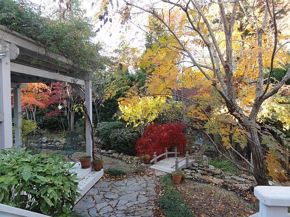 Beautiful colors in the backyard