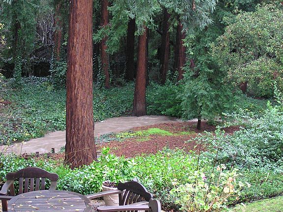 Adobe Creek Crests in Jan