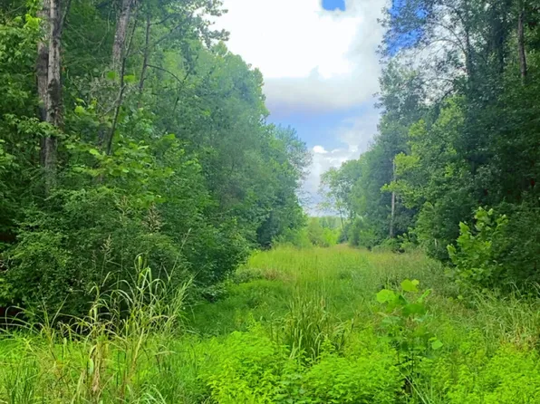 Road 2434, Philadelphia, MS 39350