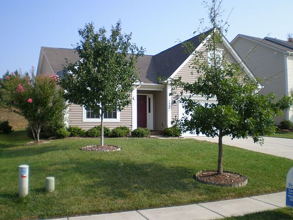 Well maintained yard