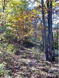 TRAIL FROM BARN YARD TO BOTTOM FIELDS