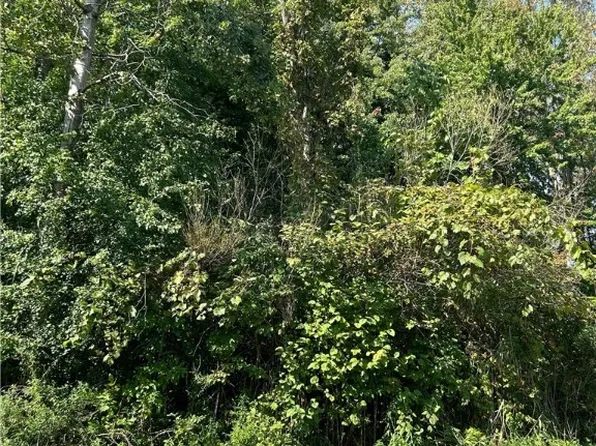 2 Beach Rd Lot 2, Cleveland, NY 13042