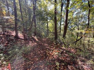 99999 Moody Cove Rd, Weaverville, NC 28787