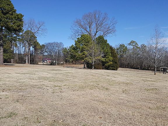 One acre lot, flat back yard