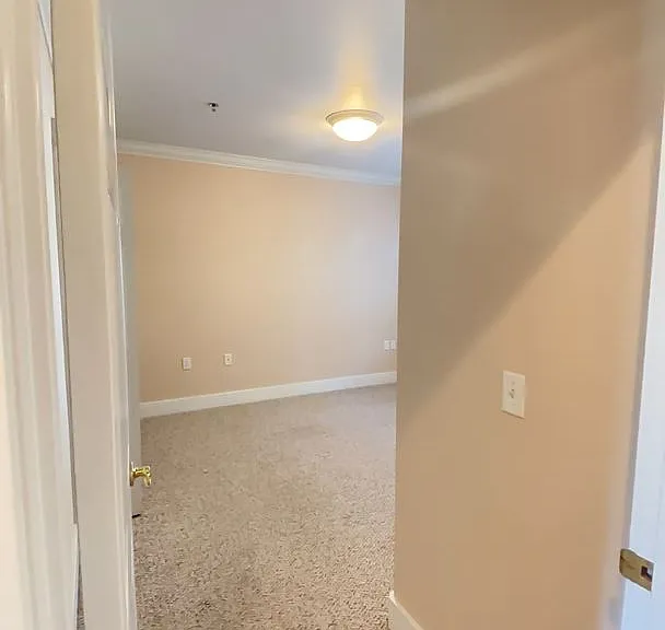 816 Pavilion Pl — Photo 9