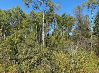 Mann Rd, Cheboygan, MI 49721