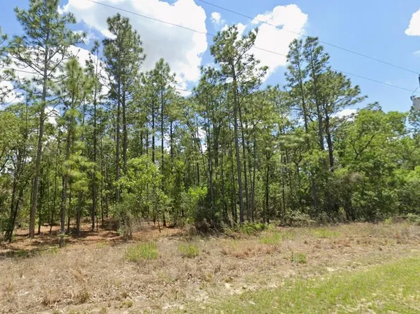 9409 N Fairy Lilly Dr, Citrus Springs, FL 34433