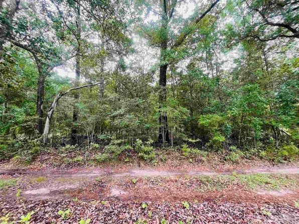 1234 Hutto Parker Rd, Holt, FL 32564