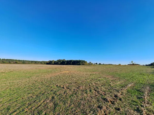 0 County Road 96, Rogersville, AL 35652