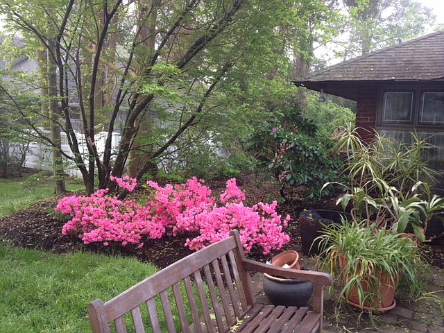 2nd image of 66 Parkway Dr