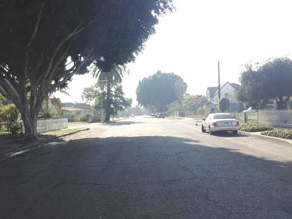 3rd image of 2946 S Harvard Blvd