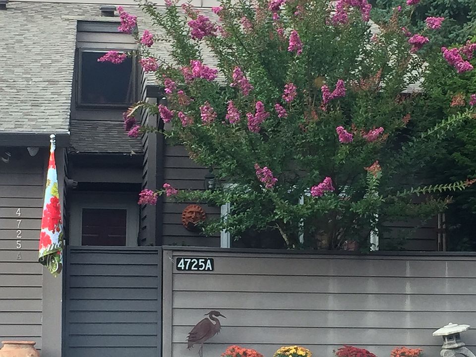 Front entry with patio