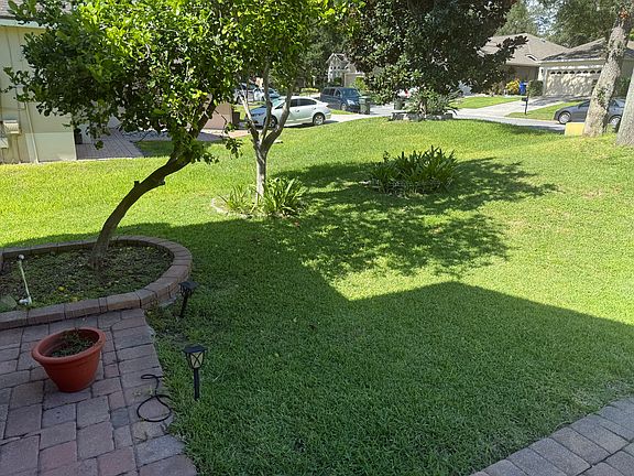 well kept green lawn