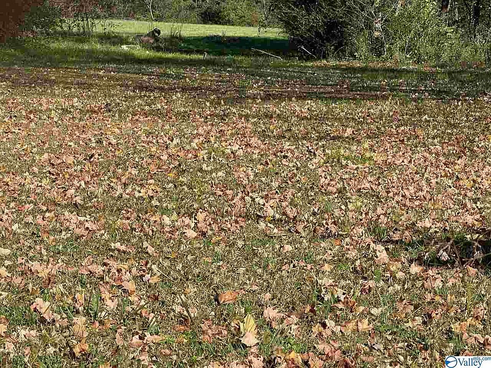 2nd image of 1922 Rideout Dr