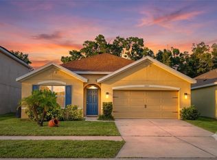 10607 Park Meadowbrooke Dr, Riverview, FL 33578