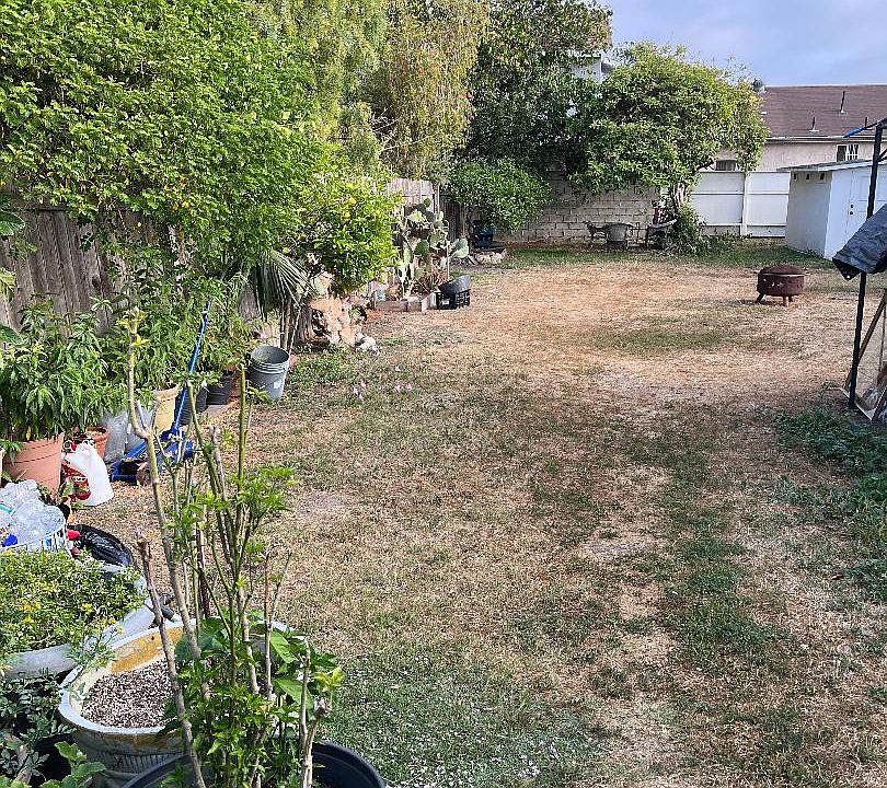 Large shared Backyard