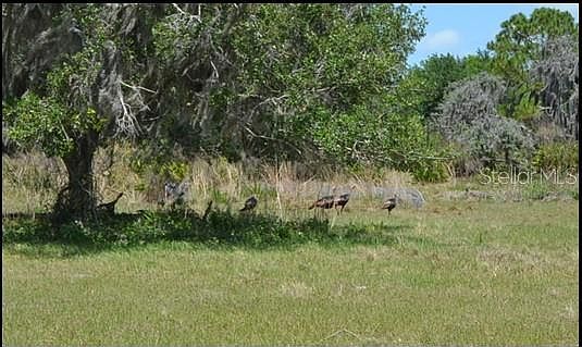 5th image of 834 Logue Rd