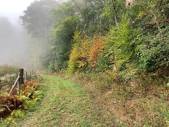 4th image of Booger Hollow Trl