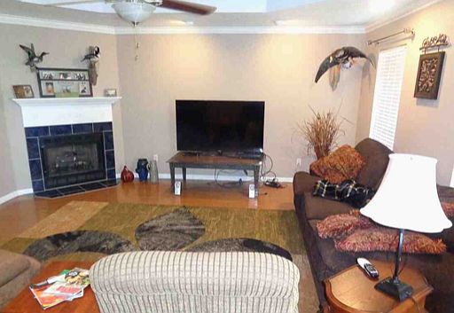 Living with gas fire place