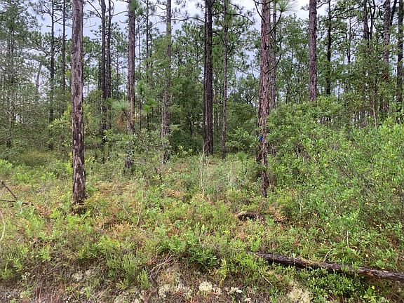 2nd image of Lot 200 Pepperhill Road LOT 200