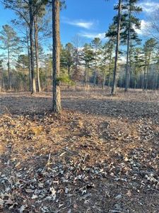 Township Road 1 Steele Bridge Rd #1, Dawsonville, GA, 30534