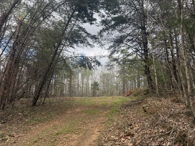 0 Allens Creek Rd, Hohenwald, TN, 38462